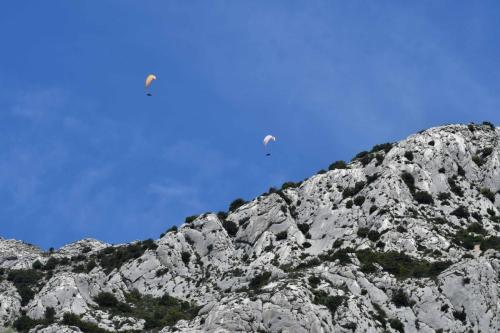 Parapentistes au dessus de la Sainte-Victoire