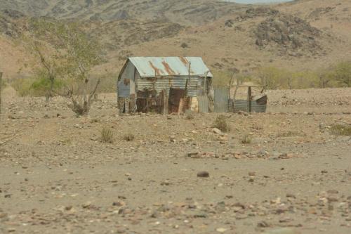 Entre petrified forest et Twyfelfontein