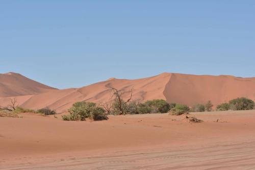 Dunes de Sossusvlei
