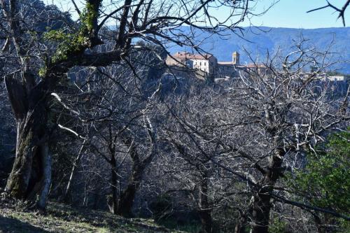 Chartreuse de la Verne (Collobrières)