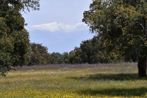Parc national de Monfrague vers Portilla del Tiètar