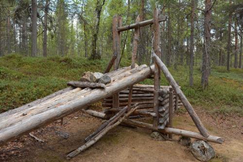 Piège à ours, en voulant attraper l'appât, il était assommé