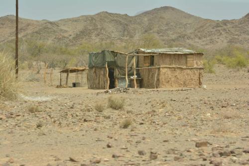 Entre petrified forest et Twyfelfontein