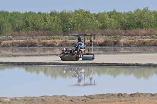 Préparation des bassins d'évaporation pour le sel
