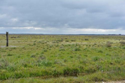 Réserve de Tipperne