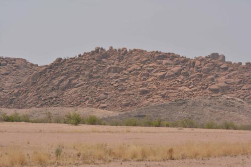 Entre petrified forest et Twyfelfontein
