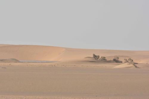 Dune près de Walvis bay