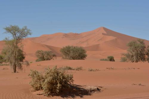 Dunes de Sossusvlei
