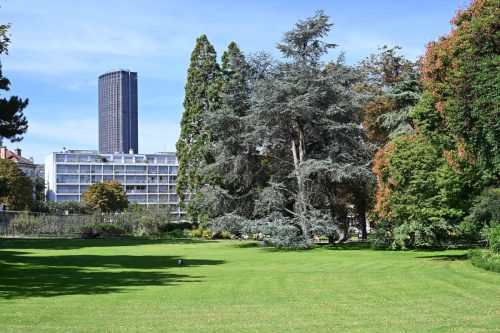 Jardin du Luxembourg et Tour Montparnasse
