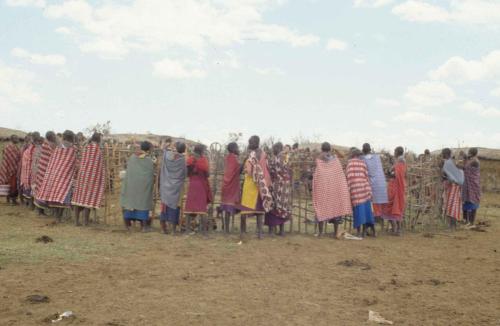 Kenya - Réserve de Masaï-Mara