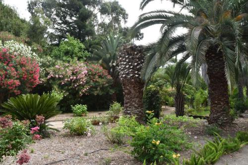 Jardin exotique de Ponteilla