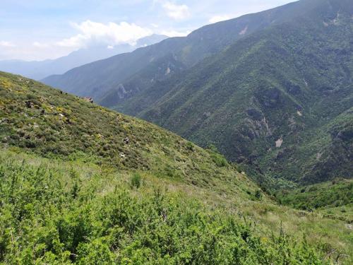 au dessus de Nohèdes