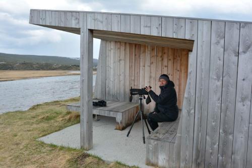 Au bord de la rivière Jakobselva