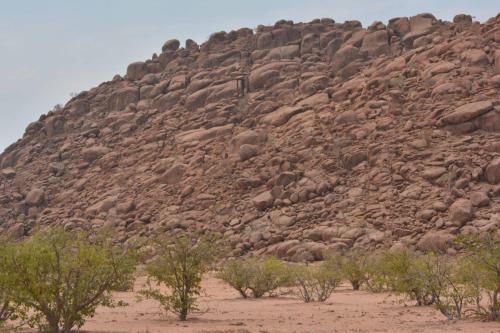 Entre petrified forest et Twyfelfontein