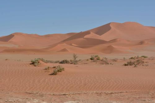 Dunes de Sossusvlei