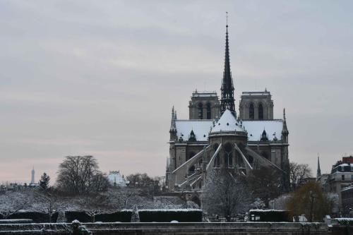 Notre-Dame depuis le quai d'Orleans sur l'ile Saint-Louis