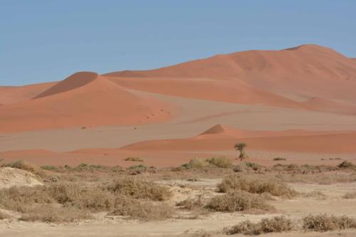 Dunes de Sossusvlei