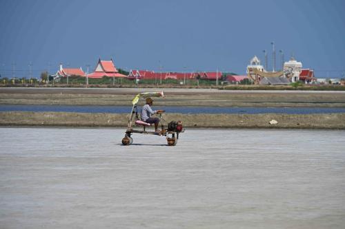 Pak Thale Nature Reserve