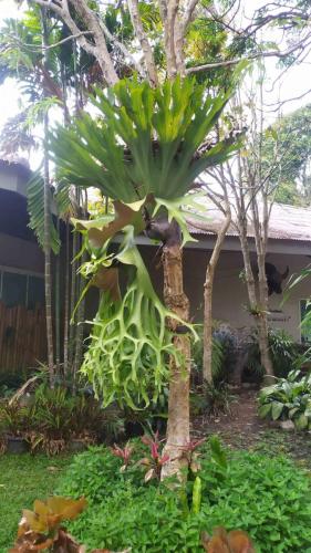 Khao Yai NP