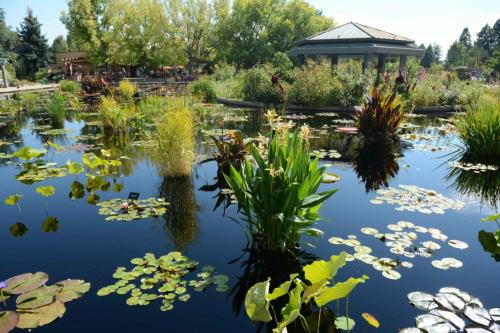 Jardin botanique