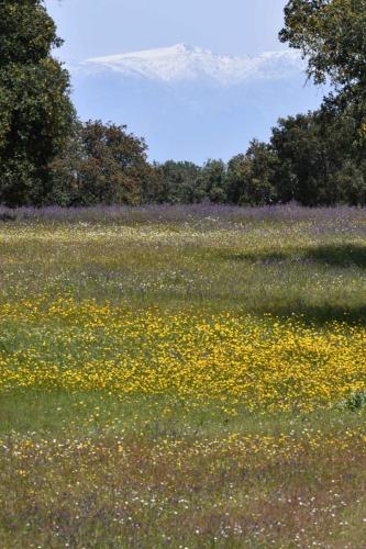 Parc national de Monfrague vers Portilla del Tiètar