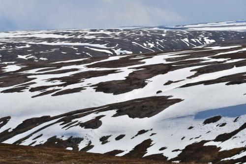 Sur la 891, entre Gednje et Batsfjord