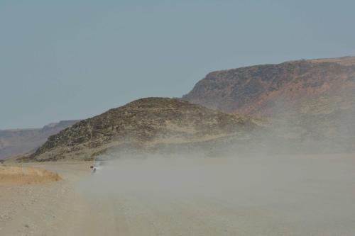 Entre petrified forest et Twyfelfontein