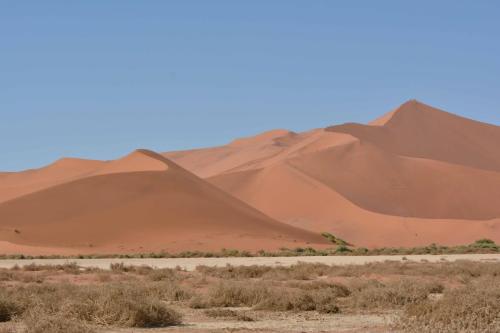Dunes de Sossusvlei