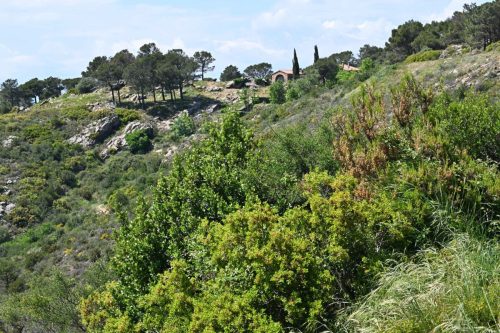 Près de Ermita de Sant Onofre