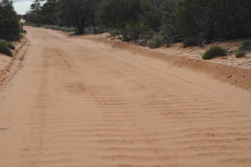 Piste allant à la réserve ornithologique de Gluepot (50 km à l'intérieur du bush)