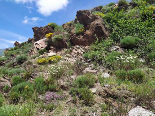 au dessus de Nohèdes