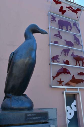 Museum d'histoire naturelle