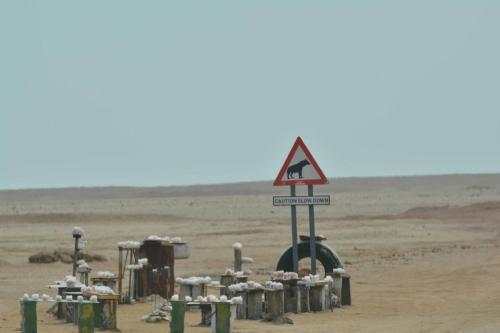 Sur la C34 en direction de Cape Cross