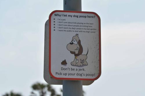 Ne sois pas con, ramasse les crottes de ton chien.