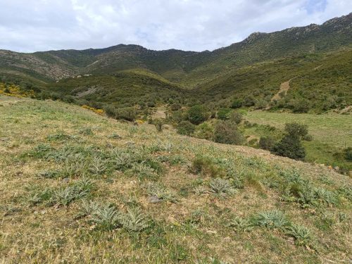 Près du monastère de Sant Quirze de Colera