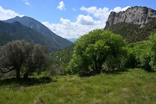Près dAlinyà