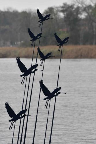 Envol de spatules blanches (Sculpture à De Cocksdorp)