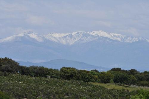 Sierra de Gredos depuis Portilla del Tiètar
