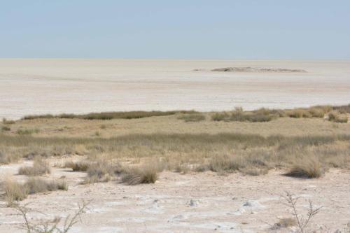 Sur le bord du Pan, immense dépression (5000 km2) parfois inondée