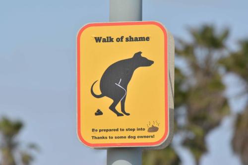 balade de la honte, soit prêt à marcher dans une crotte de chien, merci aux propriétaires de chien