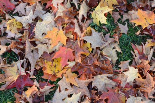 Hancock Shaker Village