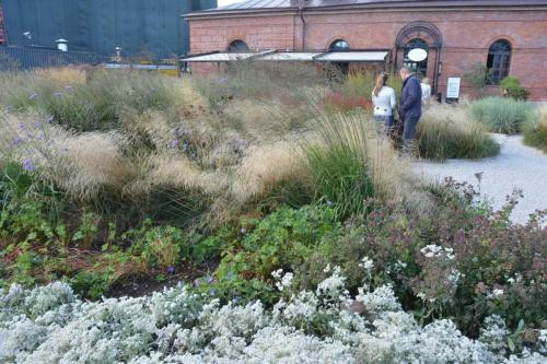 Ile de la Nouvelle-Hollande