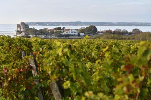 Talmont sur Gironde
