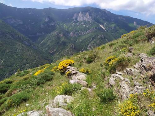 au dessus de Nohèdes