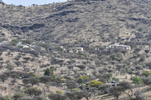 Daan Viljoen Game Park