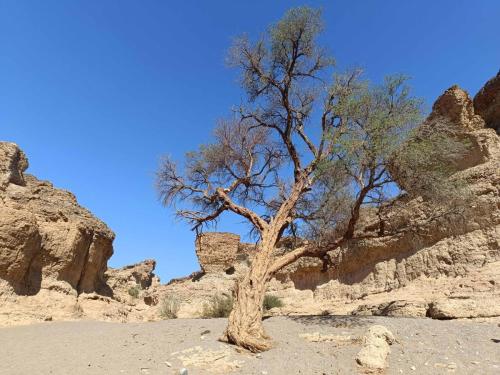 Canyon de Sesriem