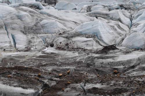 Svinafellsjokull