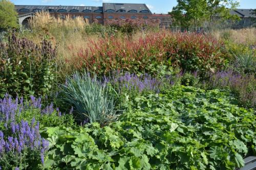 Ile de la Nouvelle-Hollande