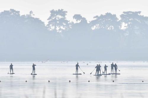 Paddles sur l'étang de Saint-Quentin en Yvelines