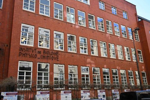 Institut de Biologie Physico-Chimique de Sorbonne Université